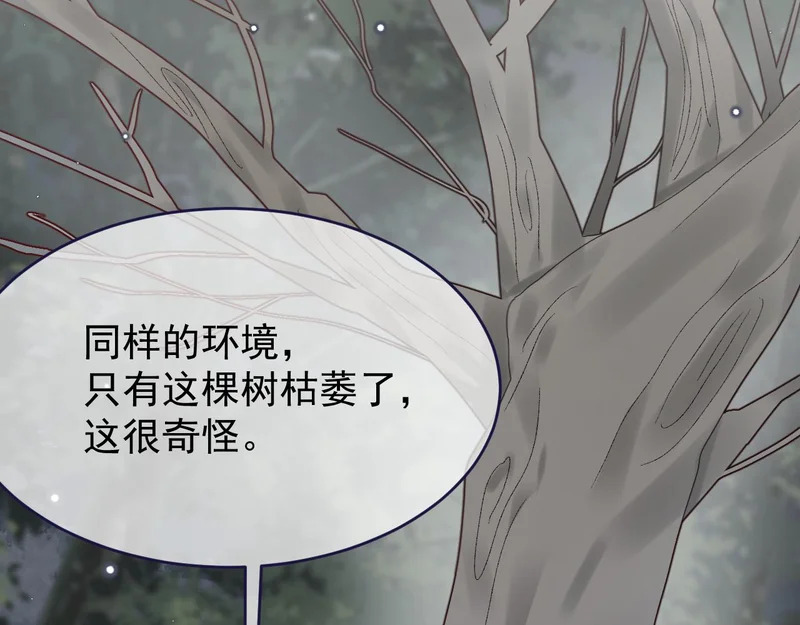 第111话 迷雾森林 第38页