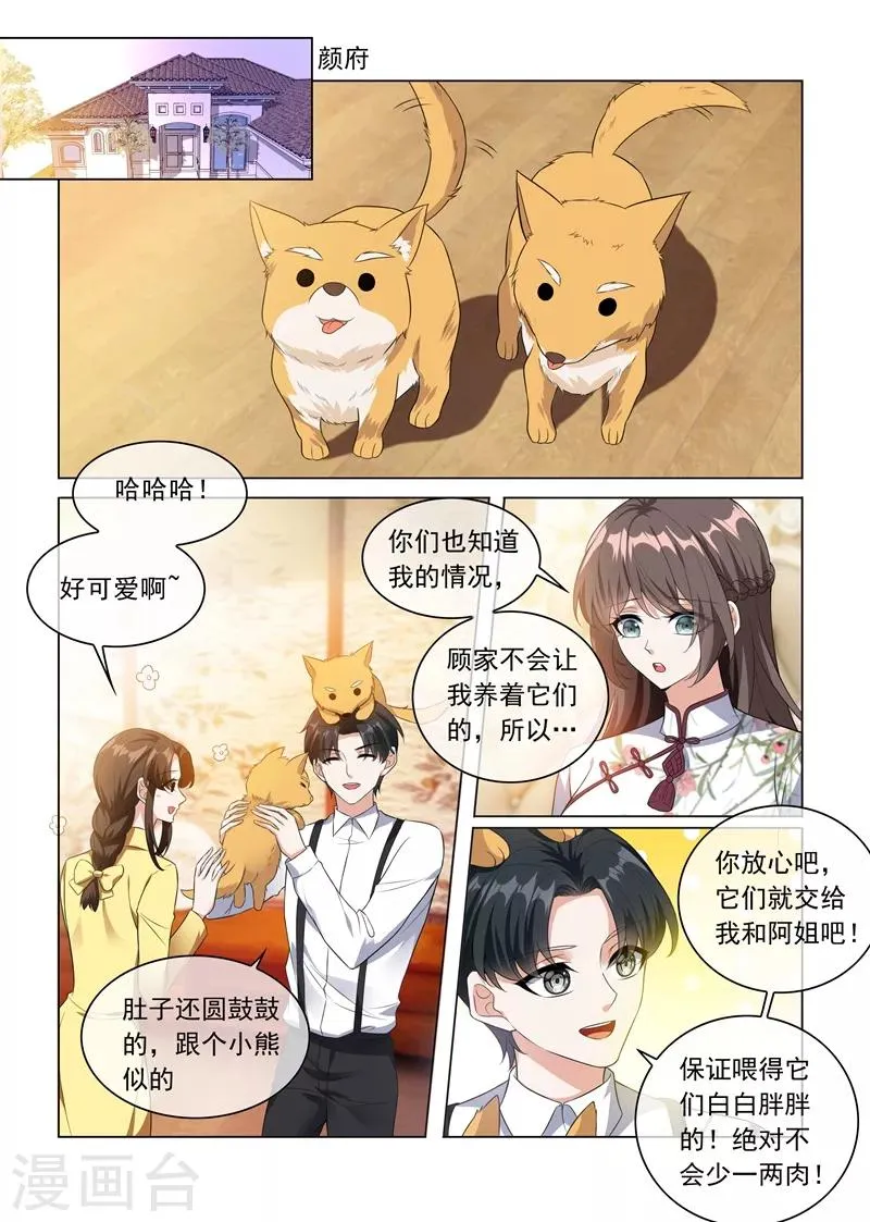 第230话 婚事提前了？ 第1页