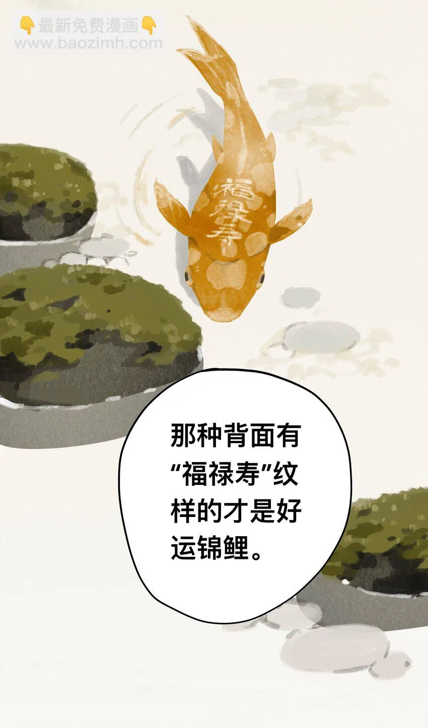 013 诱饵 第6页