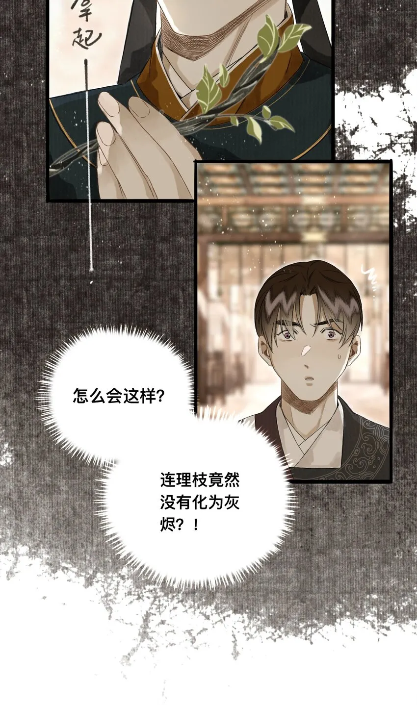 043 设局反杀 第16页