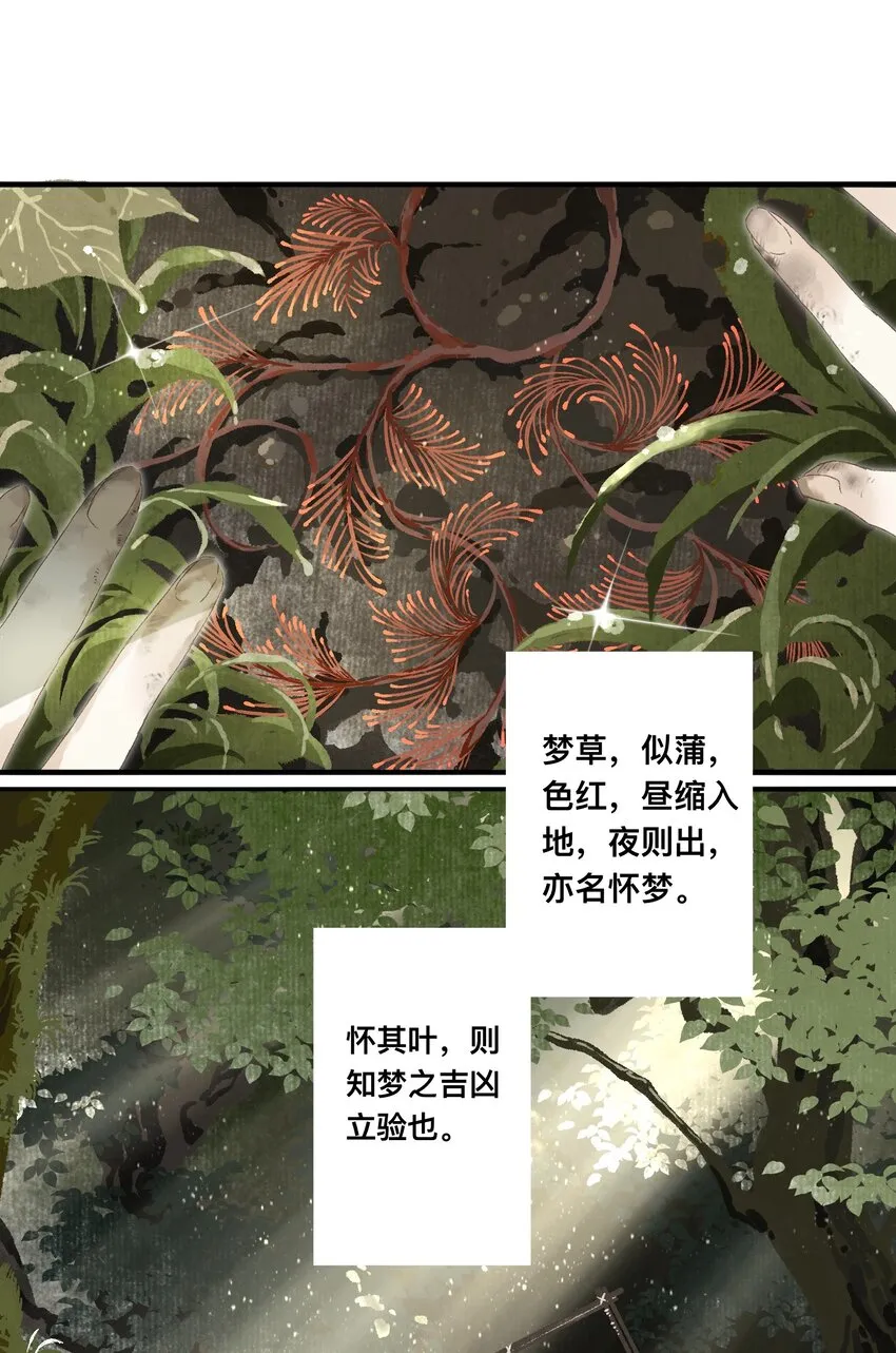 047怀梦草 第16页