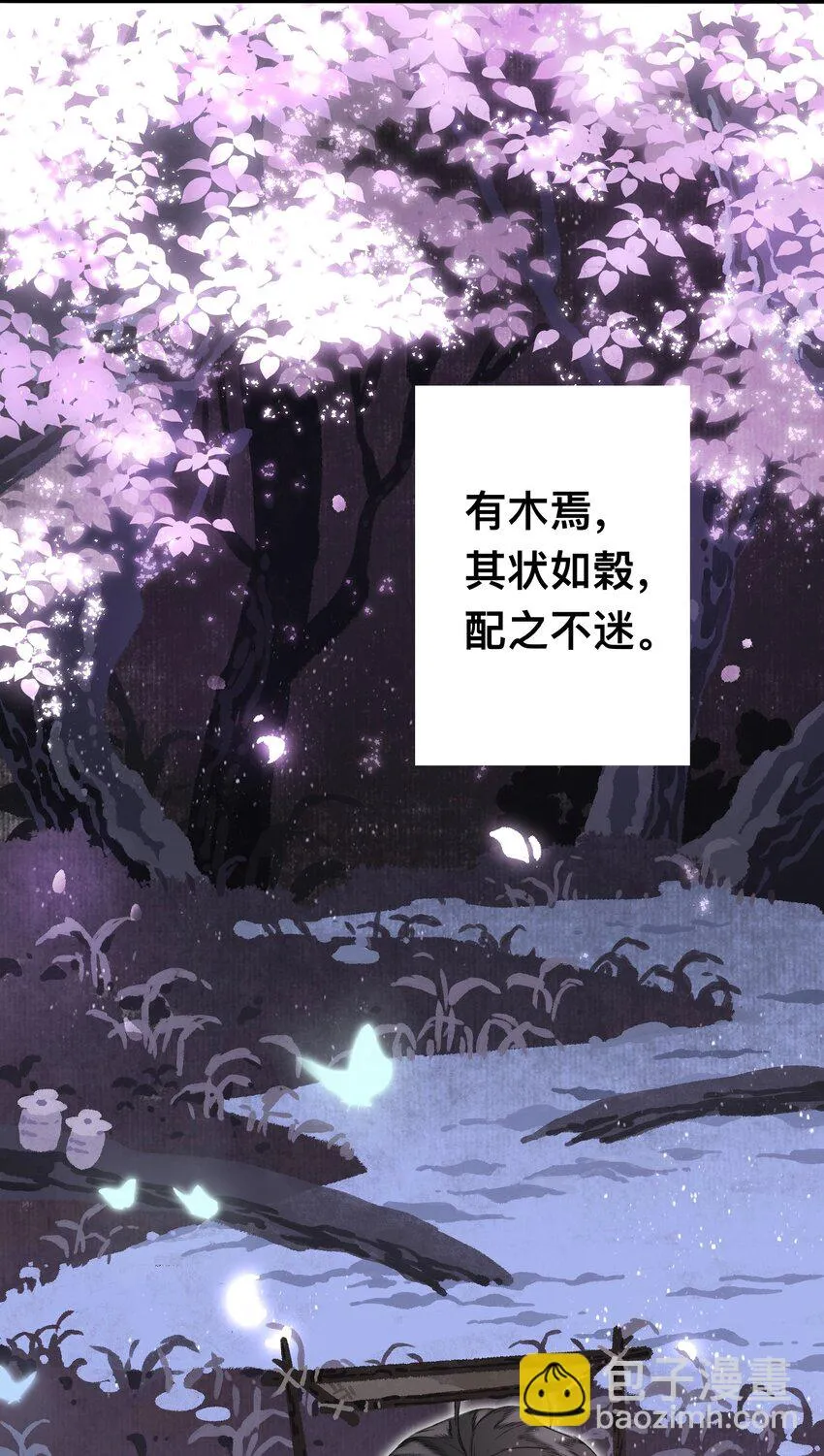 047怀梦草 第25页