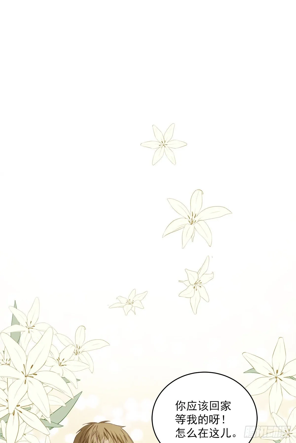 空白 第11页