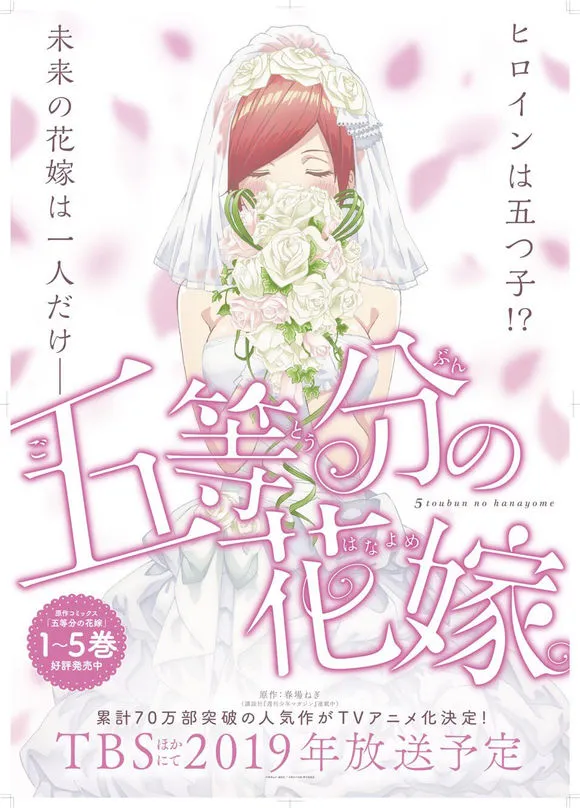 动画化 第1页
