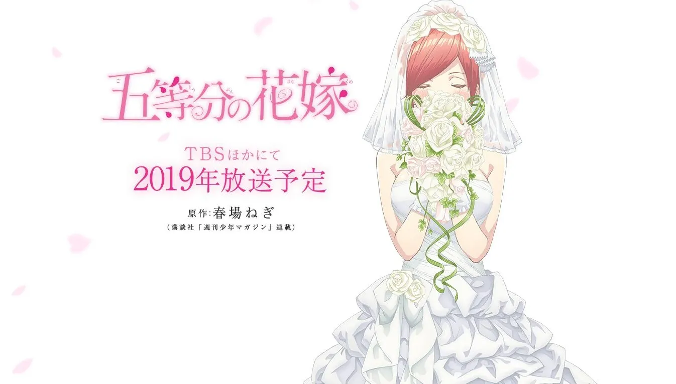 动画化 第2页