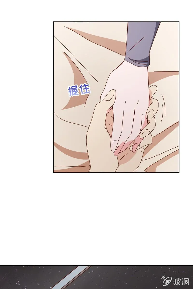 我不会再走了 第17页