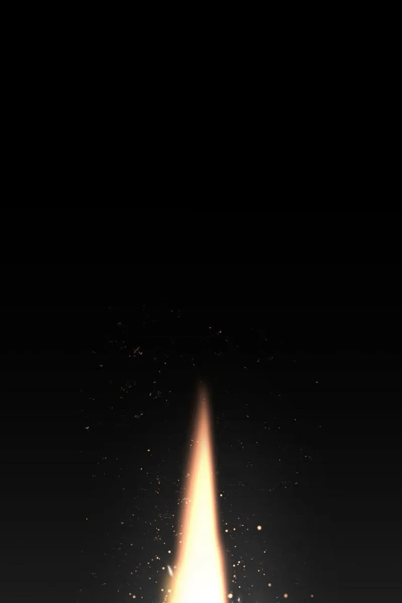 更好的未来 第2页