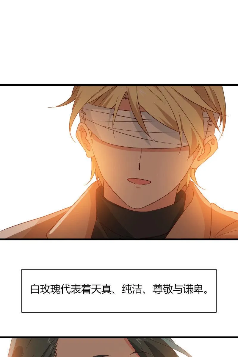 花语 第34页