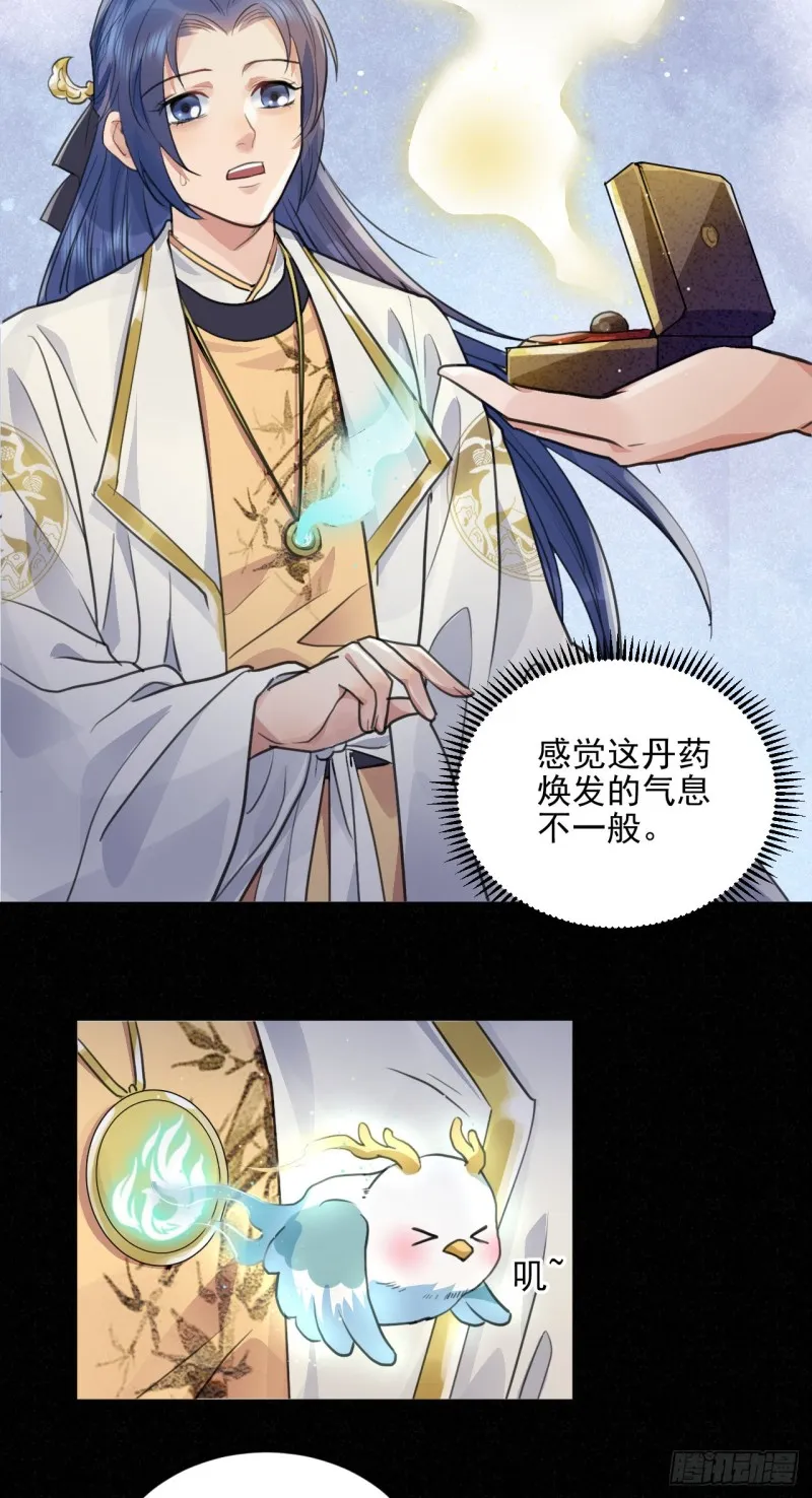 兜兜转转还在新手村 第41页
