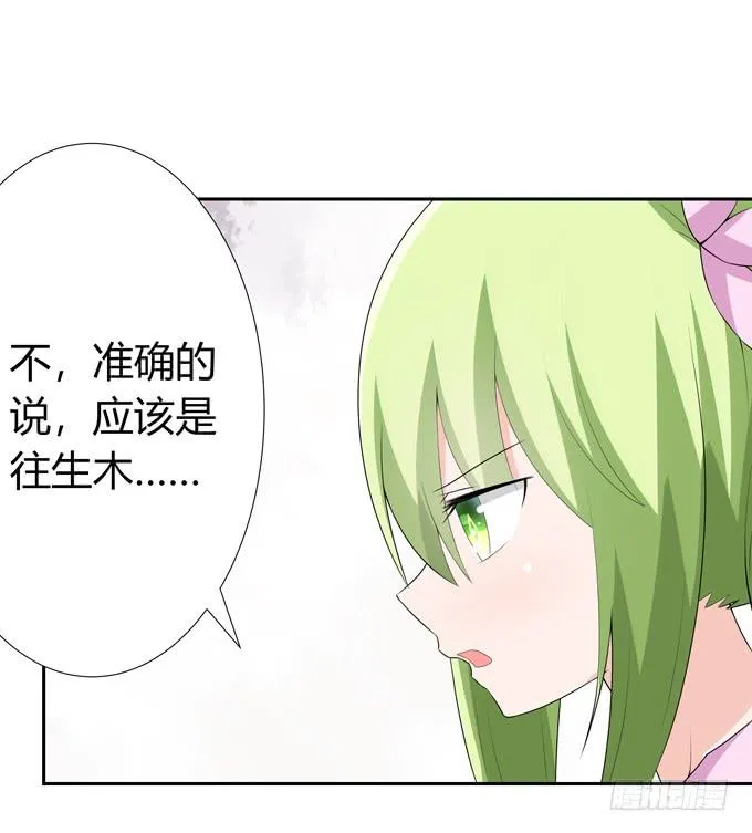 转世妖 第26页