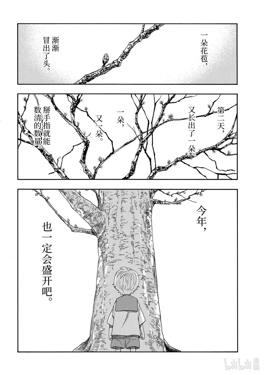 50 爱上樱花的男孩和春天 第2页