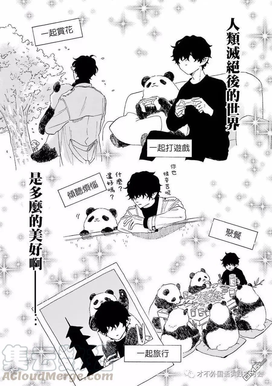 13 和熊猫一起 第7页