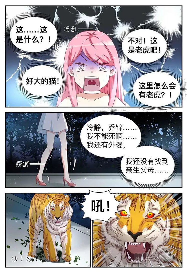 第15话 蠢女人 第3页