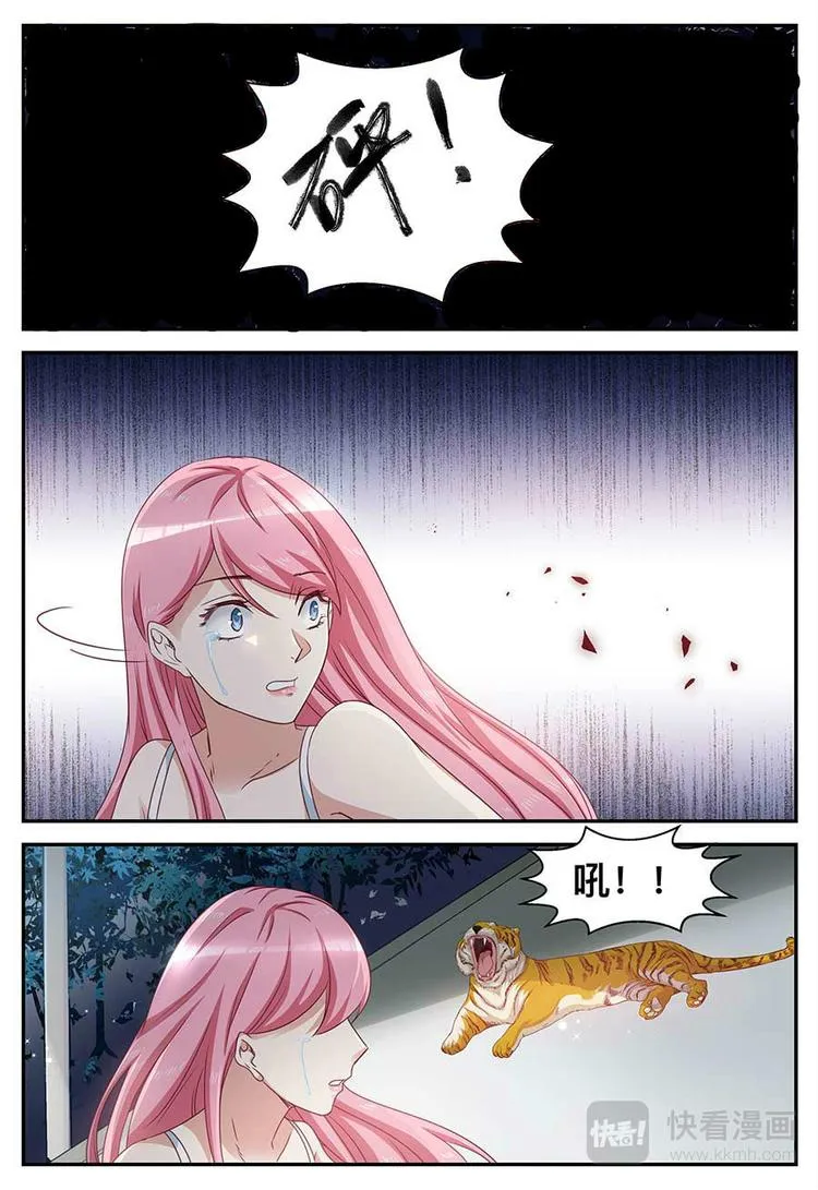 第15话 蠢女人 第5页