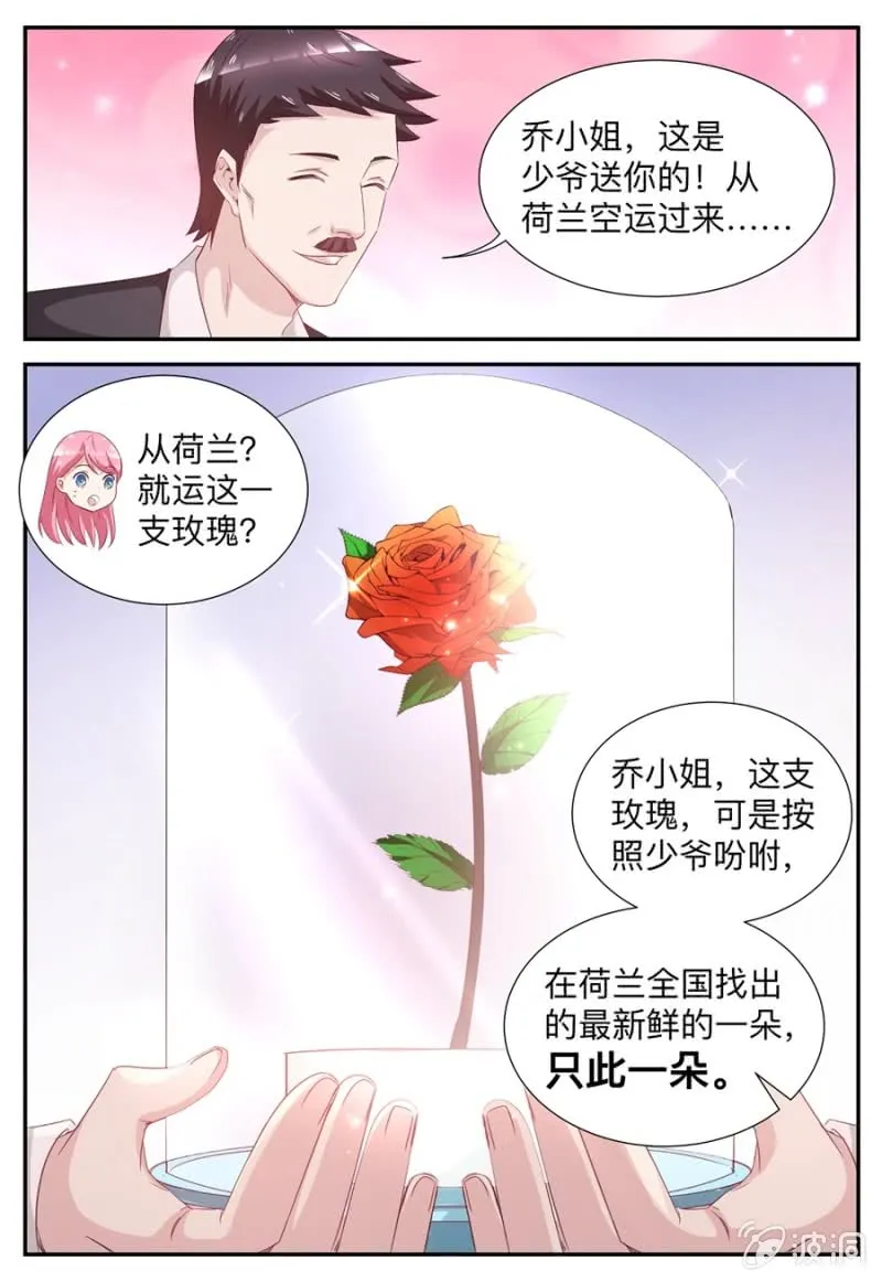 第53话 玫瑰花 第7页