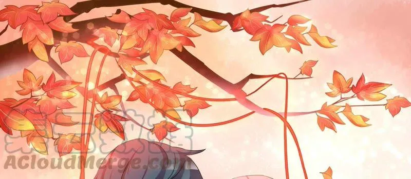 第84话 请道歉 第1页