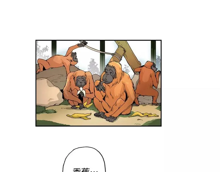 第1话 香蕉被谁吃掉了 第12页