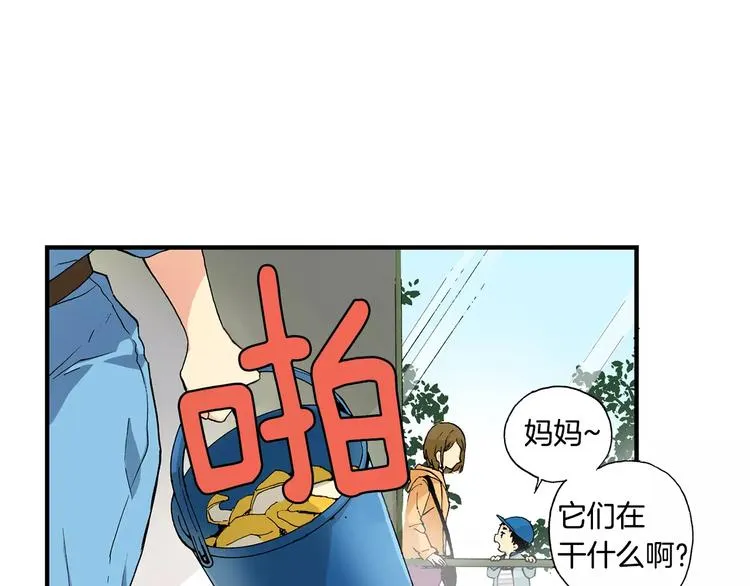 第1话 香蕉被谁吃掉了 第17页