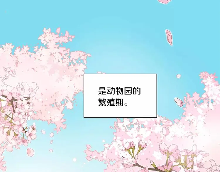 第1话 香蕉被谁吃掉了 第37页