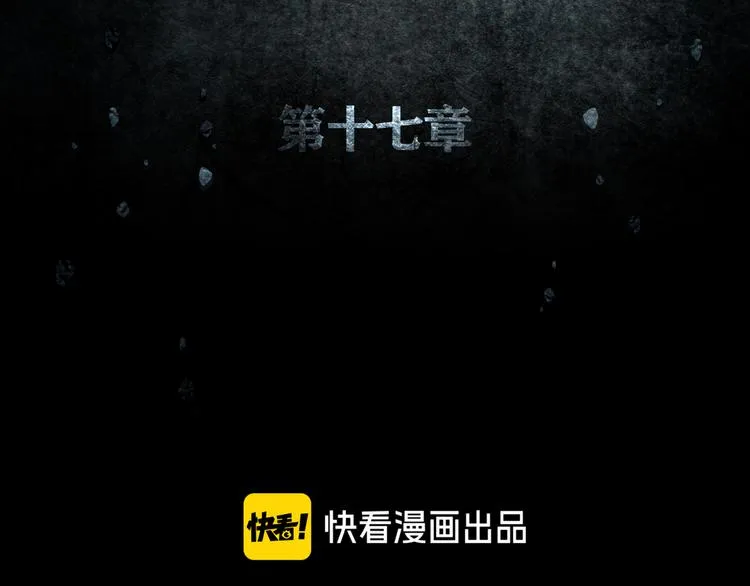 第17章 收藏品 第15页