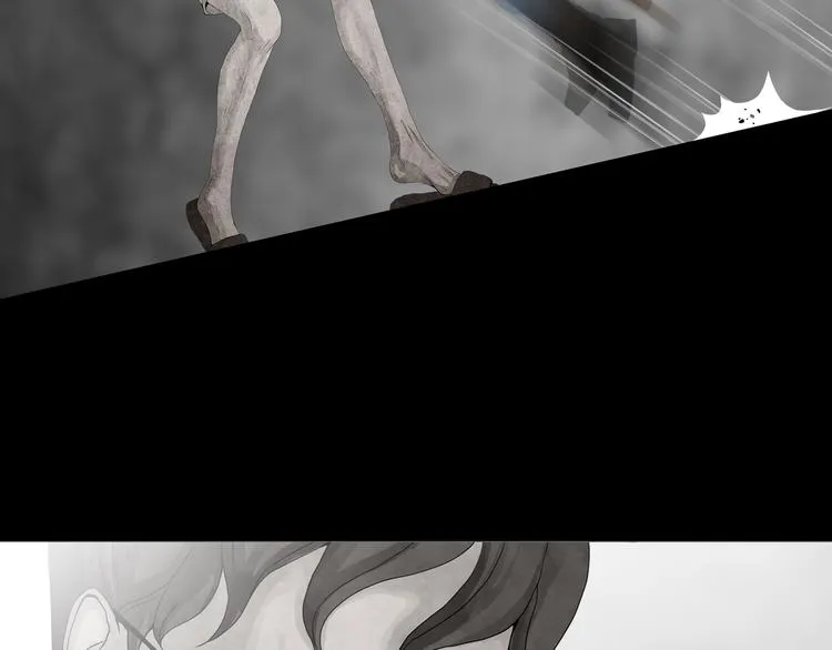 第17章 收藏品 第32页