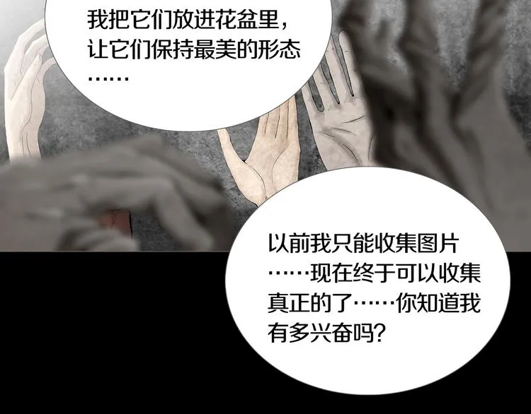 第17章 收藏品 第48页
