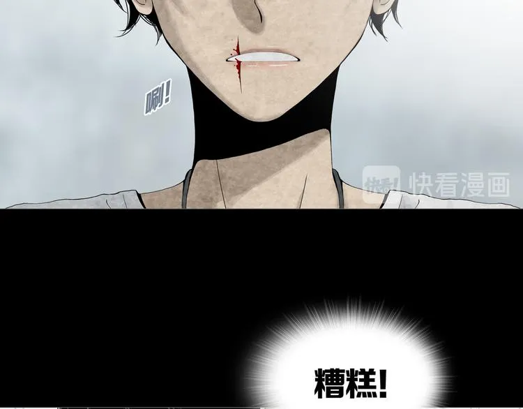 第7章 进化 第14页