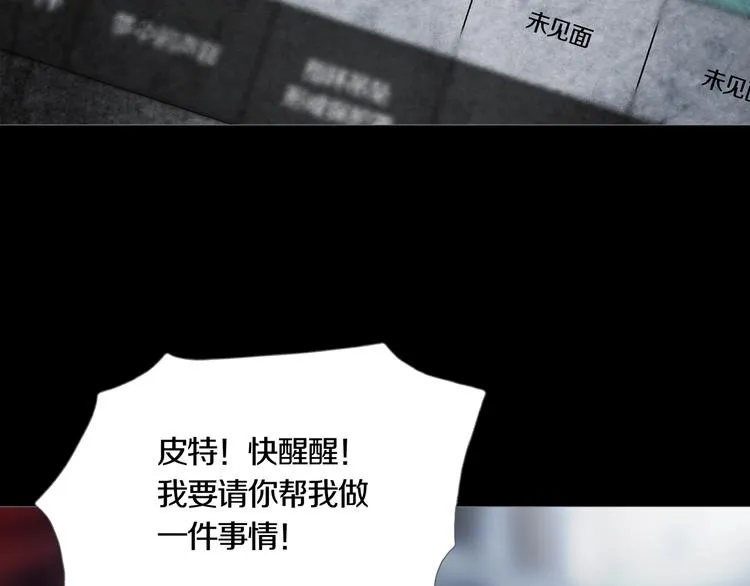 第8章 时间线 第65页