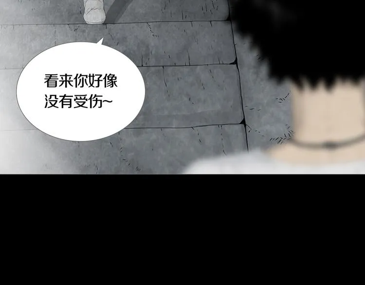 第10章 指环的争夺 第13页
