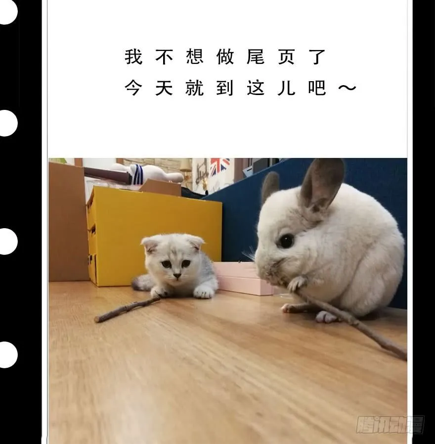 神龙显灵 第50页