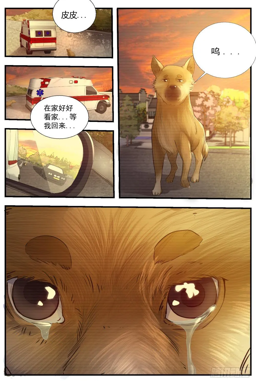 61 以生命为代价的守护 第1页