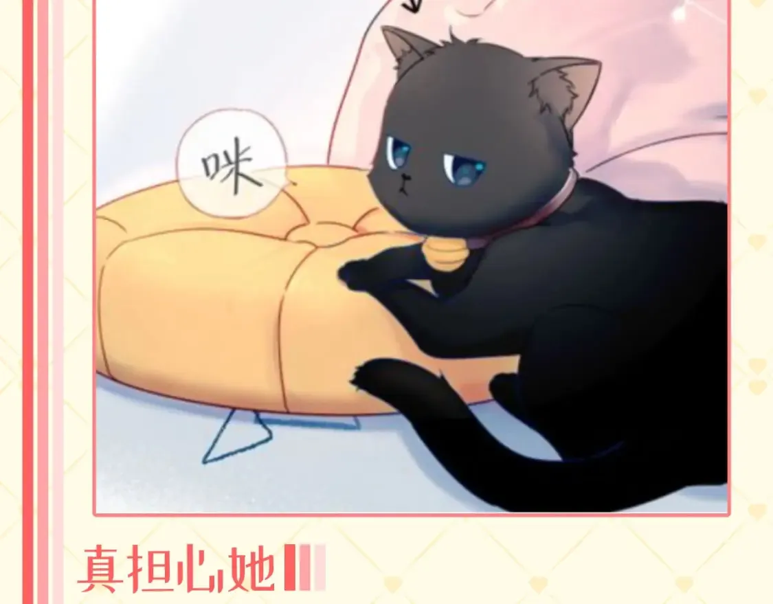 第40期 特别企划：猫猫仙贝的悠闲生活 第3页