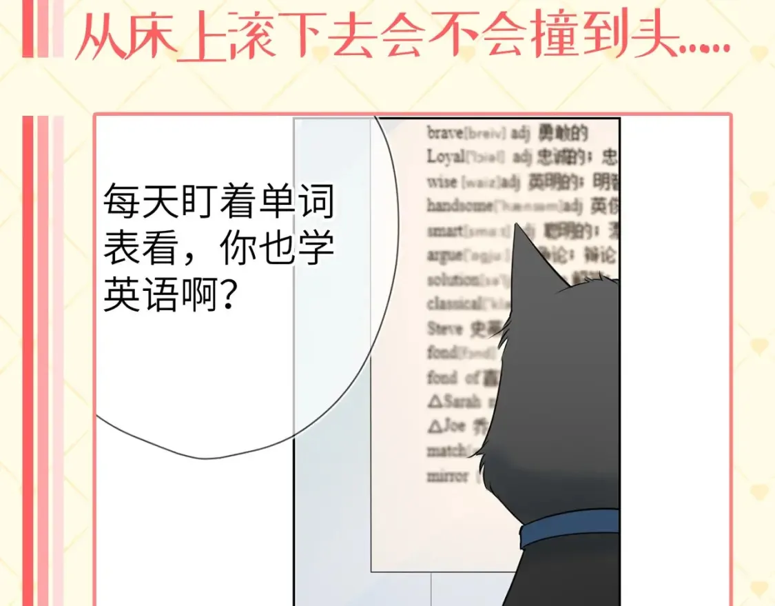 第40期 特别企划：猫猫仙贝的悠闲生活 第4页