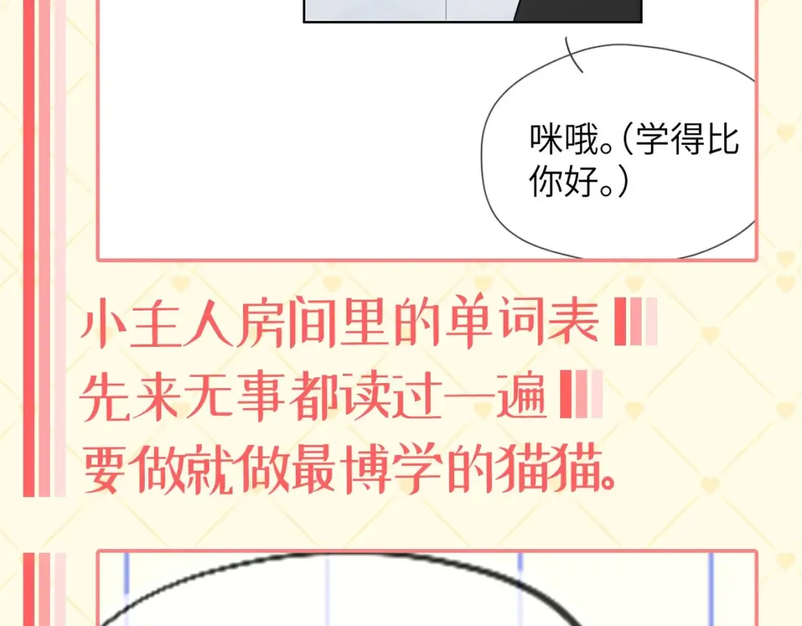 第40期 特别企划：猫猫仙贝的悠闲生活 第5页