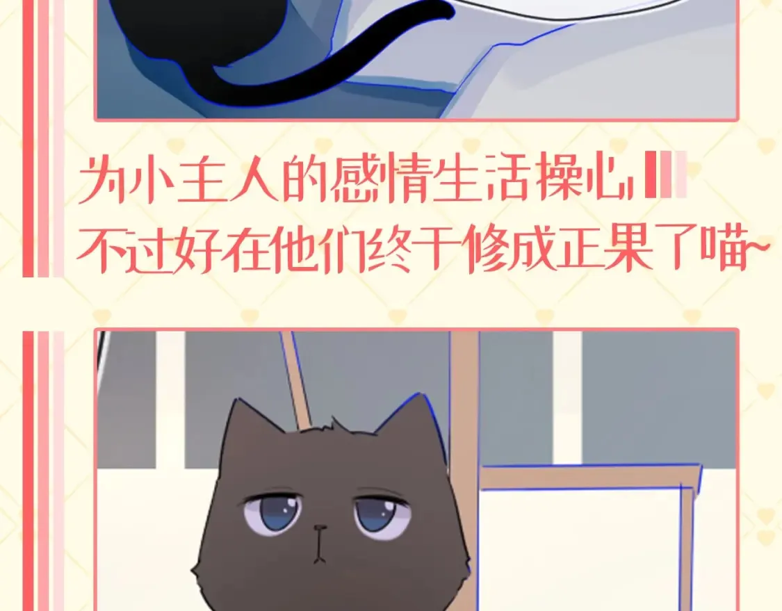 第40期 特别企划：猫猫仙贝的悠闲生活 第10页