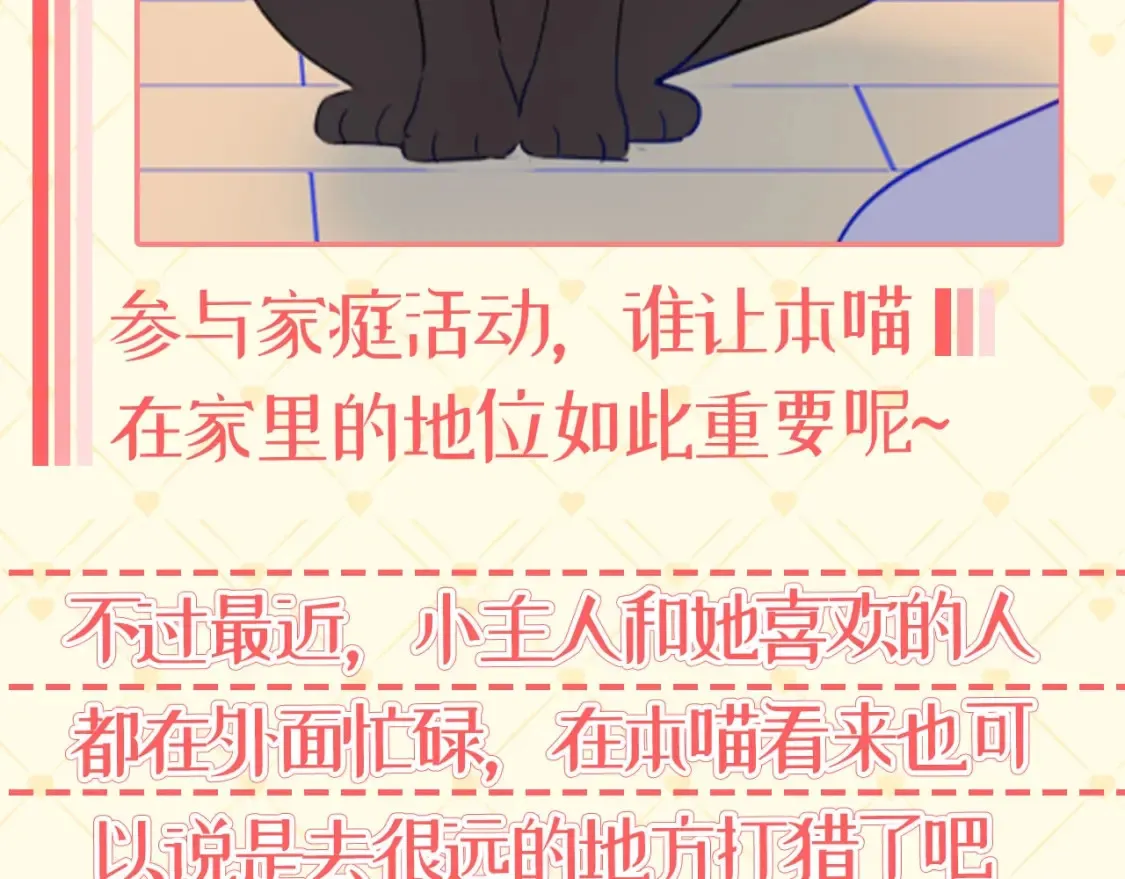 第40期 特别企划：猫猫仙贝的悠闲生活 第12页
