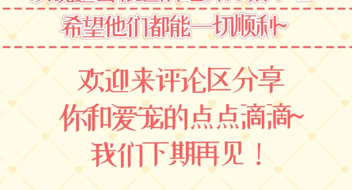 第40期 特别企划：猫猫仙贝的悠闲生活 第13页