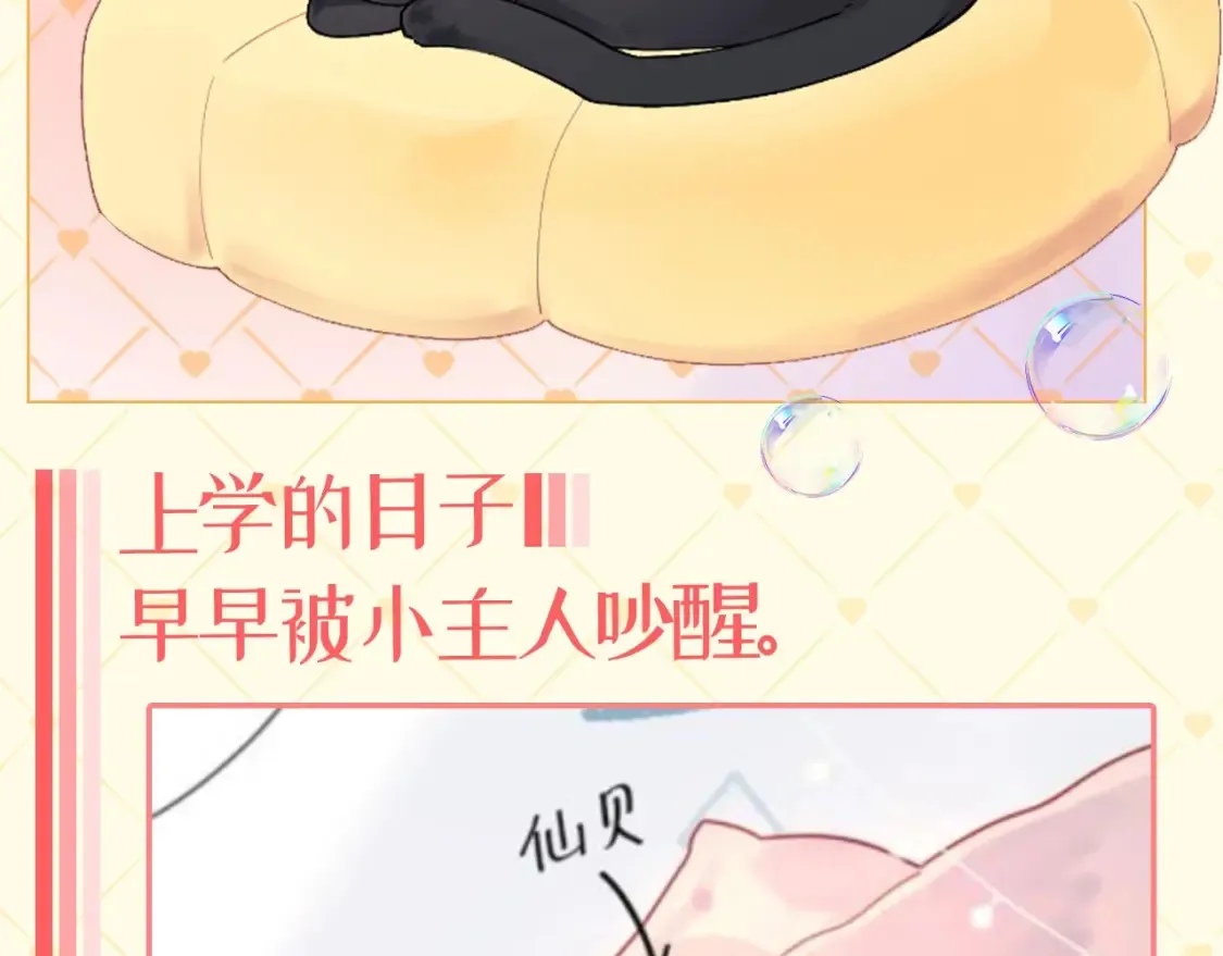第39期 整活企划：星星表情包 第21页