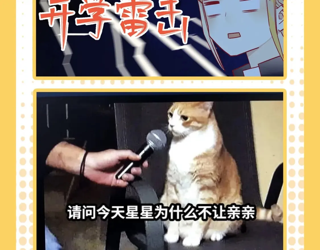 第38期 特别企划：一波梗图来袭！ 第12页
