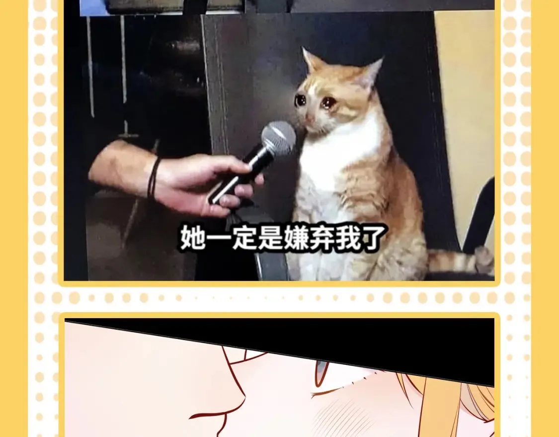 第38期 特别企划：一波梗图来袭！ 第13页