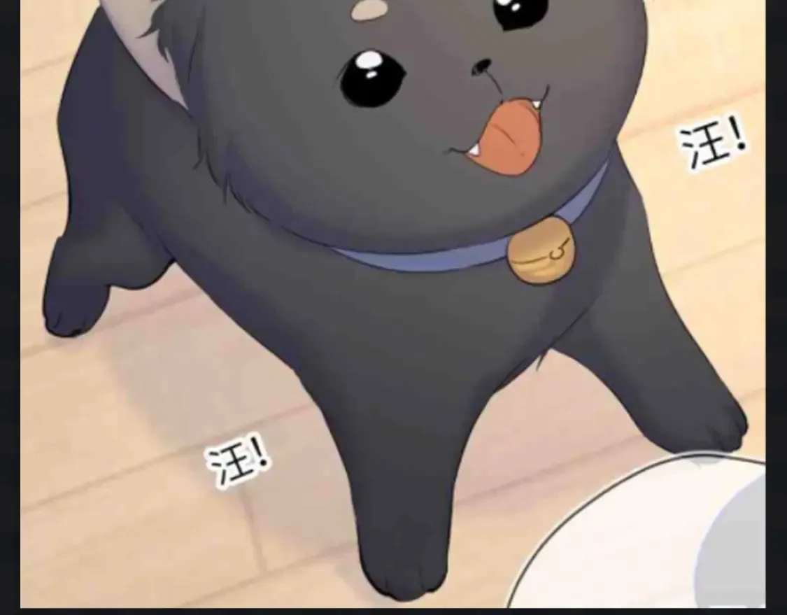 第142期 搞点事：来看看司南购物车里的东西吧 第8页