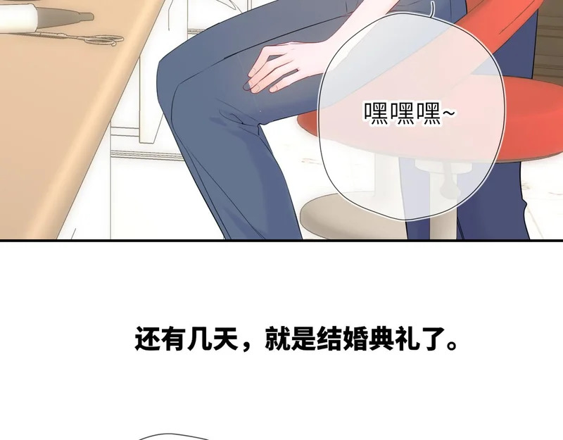 完结 我的星光 第8页