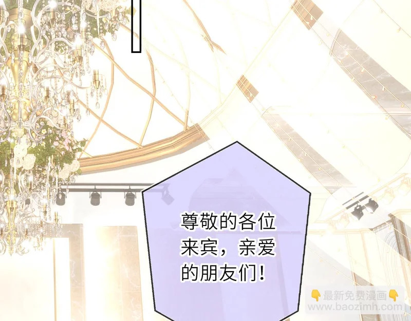 完结 我的星光 第44页