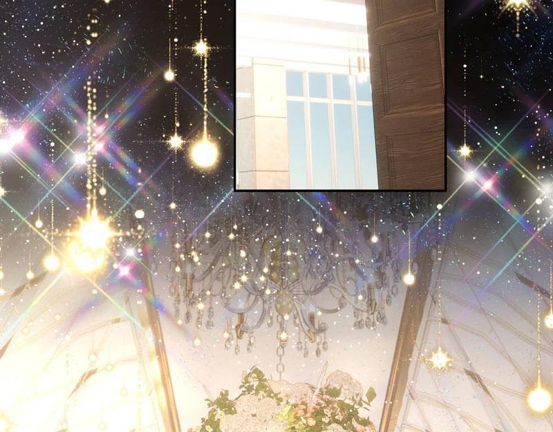 完结 我的星光 第61页