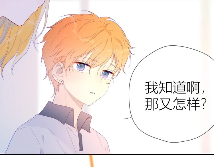 第52话 我们的森林 第19页