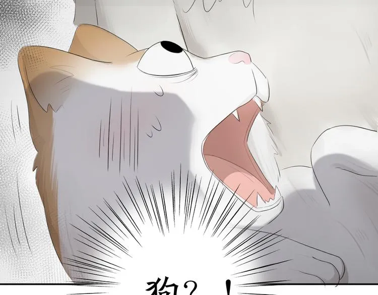 第61话 你会是我的主人吗 第43页
