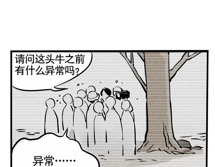 第43话 大明星与牛撞死之谜 第5页