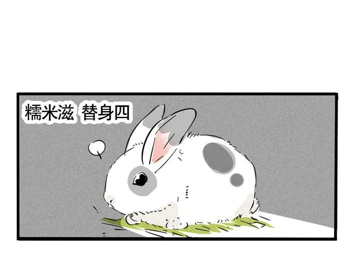 第49话 我要养兔子 第41页