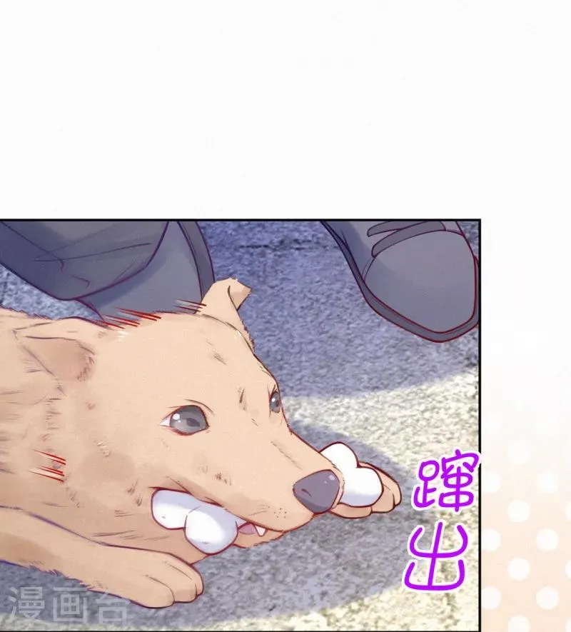 第21话 爹地就应该保护妈咪 第24页