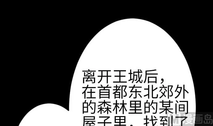 最终话 复活 第96页